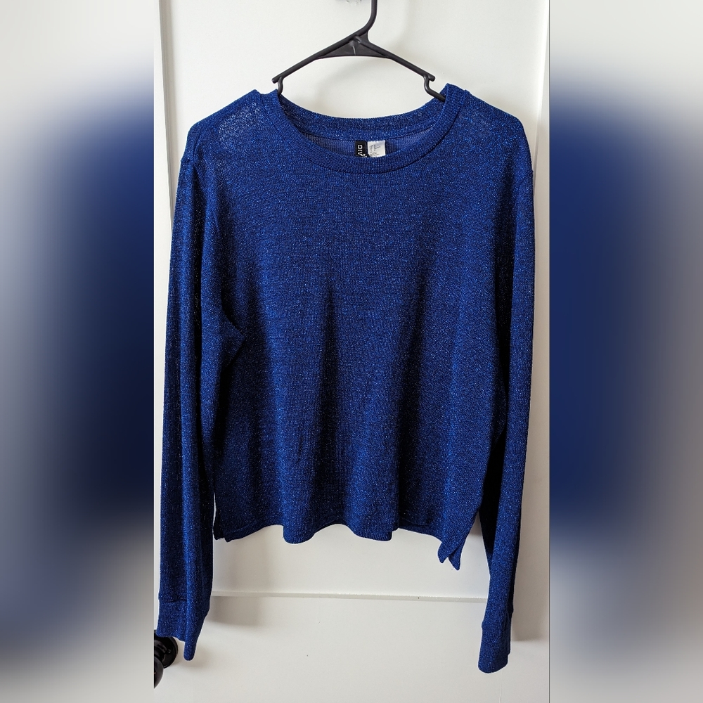 H&M Royal Blue Sparkle Sweater